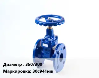 Задвижка стальная 350/300 30с941нж
